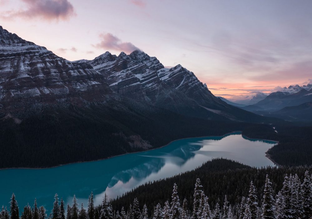 agencia seo Madrid para el mundo